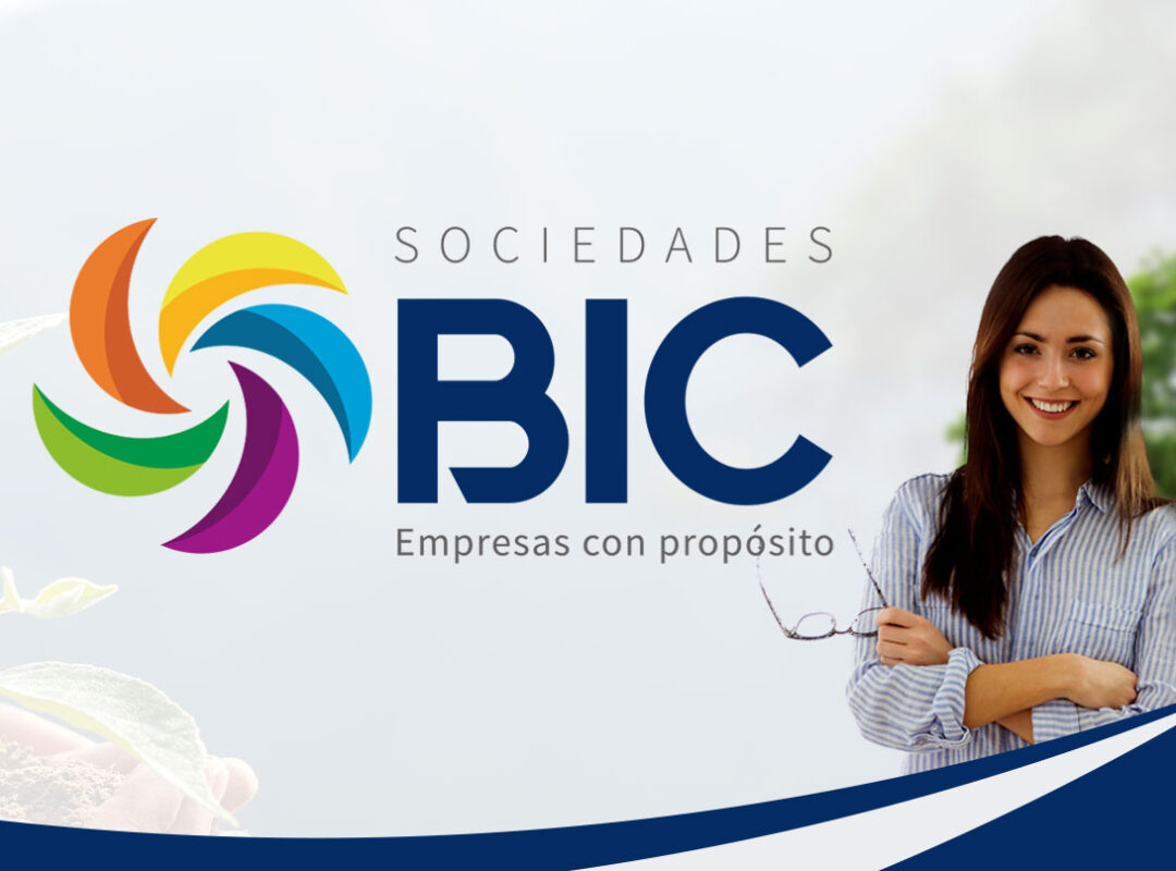 BIC creación de marca